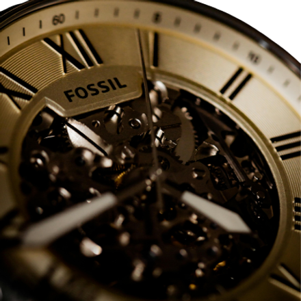 Fossil Chrome - Image 3